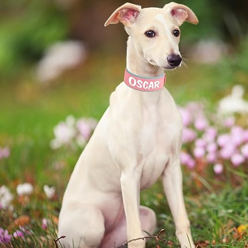 PET ARTIST 5CM Personalisierte PU Leder Hundehalsband für großen Hund. Weiches Dickes Gepolstertes Hundehalsband mit Großem Namen für Rottweiler Mastiff Dogge, rosa XL