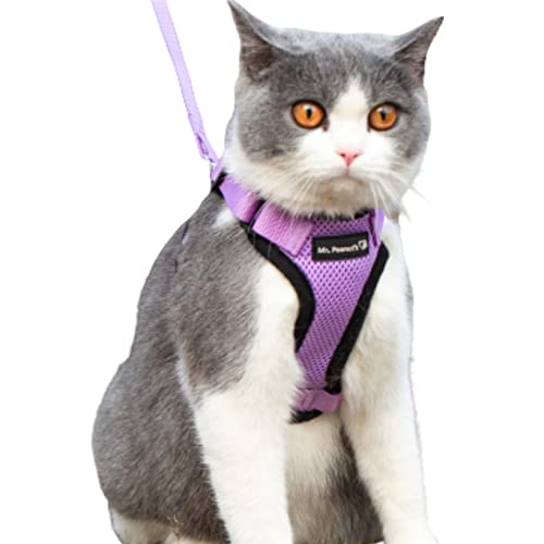 Mr. Peanut's Purrtrek Reflective Cat Harness With Matching Leash (Extra Small, Lilac) #TOP23