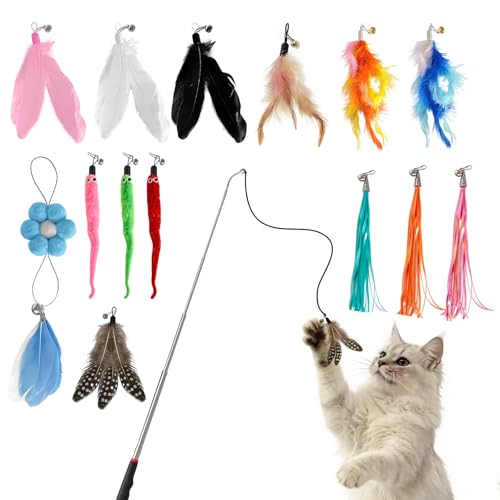 QINGWANGDA Cat Wand Toy 15PCS 1 Stainless Steel Cat Wand and 14 Assorted Teasers Interactive Cat Toy Cat Toys for Indoor Cats Adult& Kittens Feathers Cat Toys