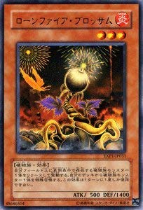 Amazon.co.jp: 【遊戯王カード】 ローンファイア・ブロッサム EXP1