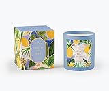 RIFLE PAPER CO. Candle | Festive Occasions and Gatherings with Decorative Box and Festive Labels On Soy Candle Base and 40+ Hour Burn Time, Amalfi Del Mar