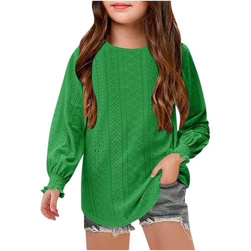 Girls Long Sleeve Eyelet Lace Blouse Casual Crewneck Lightweight Top Soft Shirt for Spring and Fall