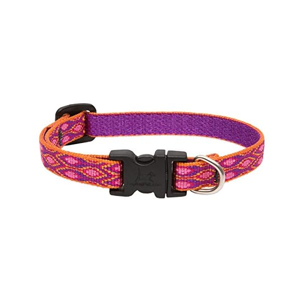 LupinePet Alpen Glow Adjustable Dog Collar for Small Dogs, 1/2-Inch by 8-12-Inch LupinePet Alpen Glow Adjustable Dog Collar for Small Dogs, 1/2-Inch by 8-12-Inch