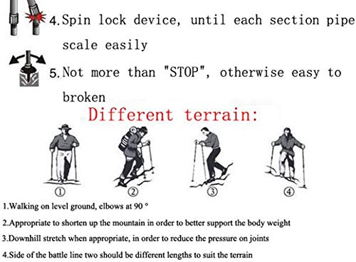 B-BLACK Coppia BASTONI Ultraleggeri Camminata