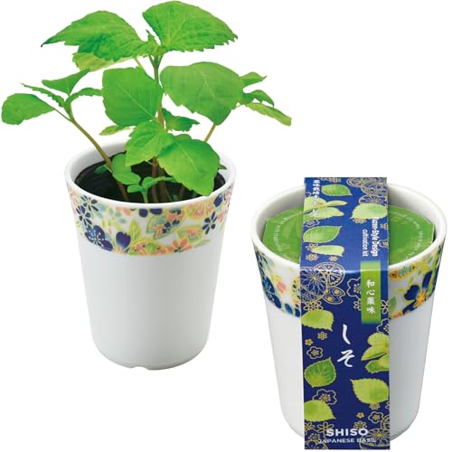 V| ʔN ƒ؉ ͔|Lbg  t ̌a 7cm ~j ȒP Ă ͔|Zbg (R/H) aS ̓ v[g a { GD-104901