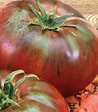 Seeds & Plants Shop by Ipsa