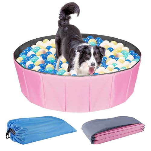 Cat Ball Pit The 15 best products compared Wild Explained