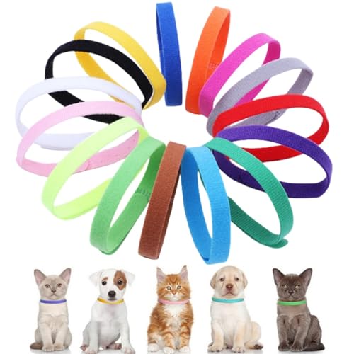 ybgpʎ 15FZbg qL qp V ybg oY  q V _̑f }WbNe[vt _uTCh  y ߉\ ȒP