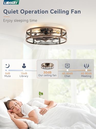 Image of LEDIARY 23 inch Caged Ceiling Fan with Light and Remote, Low Profile Flush Mount Fandelier, Black Gold Bladeless Enclosed Small Fan Lights Ceiling Fixtures, Rustic Farmhouse Style for Bedroom, Outdoor