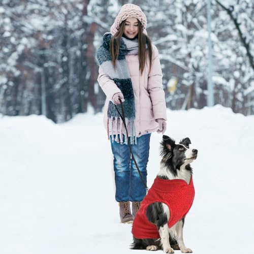 Hundemantel Mit Geschirr für Kleine Hunde - Hundepullover, Chihuahua Kleidung, Wintermantel für Innen und Außeneinsatz (Rot, L)