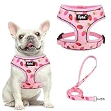 PUPTECK Soft Mesh Dog Harness and Leash Set Pet Puppy Cat Comfort Padded Vest No Pull Harnesses, Strawberry Pink, M