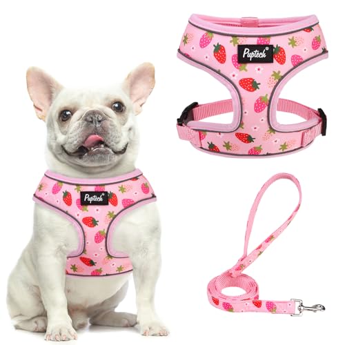 PUPTECK Soft Mesh Dog Harness and Leash Set Pet Puppy Cat Comfort Padded Vest No Pull Harnesses, Strawberry Pink, M
