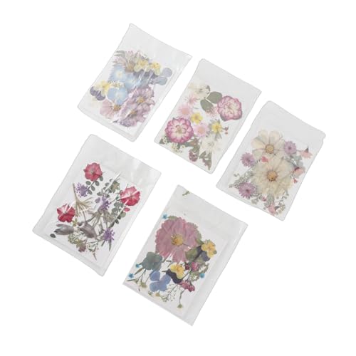 100 flores prensadas secas para manualidades variadas miniatura 4