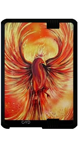 DesignedByIndependentArtists Custodia Kindle Fire