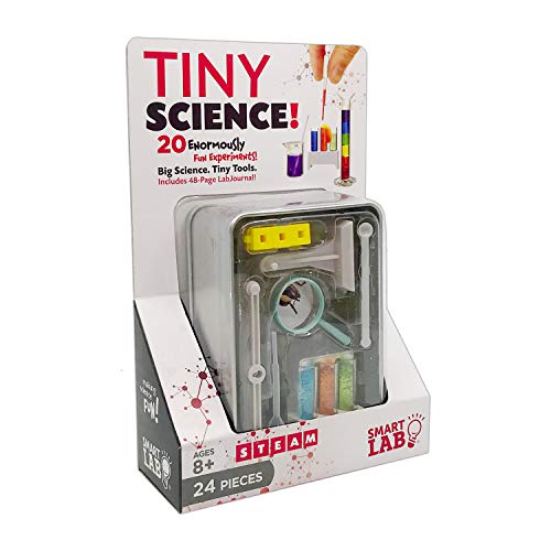 The Amazing Squishy Brain SmartLab Toys Tiny Science - 20 Enormously Fun Experiments. Big Science. Tiny Tools.