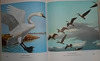The Ways of Wildfowl featuring 64 Full Color Reproductions and 38 Etchings of Richard E Bishop B00VBVJAA8 Book Cover