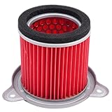 Road Passion 17230-MM9-000 17230-MS6-920 17230-MV1-000 1705 Air Filter Compatible with Honda XL600V