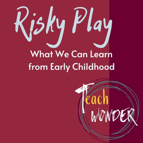 Page de couverture de Risky Play: What We Can Learn from Early Childhood.