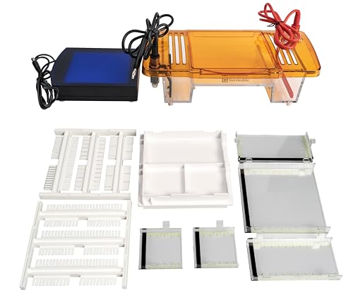Electrophoresis System with LED (SVL-2)