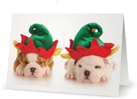 Holiday Collection- Merry Little Christmas Christmas Cards Box Set (10 Cards)