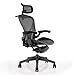 CHAIRORAMA Certified Refurbished  Aeron Chair Size B – Fully Loaded PostureFit, Fully Adjustable Clip‑Latch Adjustable Arms, Tilt Limiter 12‑Year Warranty (Headrest)