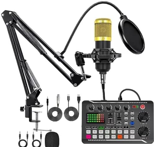 Amazon | カラオケマイク セット家庭用 DJ ミキサー セット F998 
