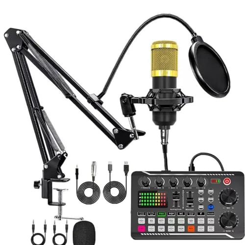 コンデンサーマイクセット ブラック Amazon | カラオケマイク セット家庭用 DJ ミキサー セット F998