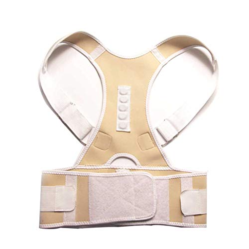 Vj\ȎCp␳RZbgobNu[XobNxgT|[gXg[gufXp_iFFk[hATCYFXXLj