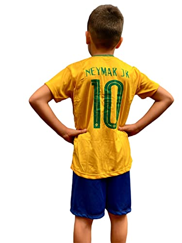 Conjunto Infantil Uniforme Seleção Brasil Neymar Futebol (08)