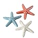 Produktbild CasaJame Porzellan Seesterne 3er Set Sortiert blau rot weiß H2cm D11cm