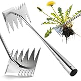 LOOHOI Garden Hand Weeder Tool, Heavy-Duty Stainless Steel Weeding Tool for Deep Root Removal, Portable Garden Weed Removal Tool for Lawn, Flower Beds & Yard