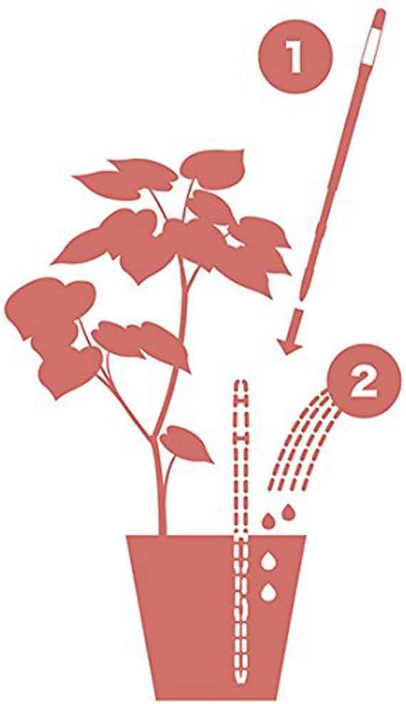 IPPINKA Sustee Aquameter (2 Green, Medium) - Plant Soil Moisture Meter, Monitor, Probe, Indicator - Best for Potted Plants - Package of 2 Sensors