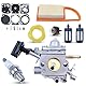 Atunee BR600 Vergaser für Stihl BR500 BR550 BR700 mit Luft-Kraftstoff-Filter, ersetzt für Zama C1Q-S183 42821200606 42821200608 42821200607