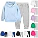Girls Boys 2 Piece Cotton Tracksuit Sets Basic Solid Long Sleeve Hooded Sweatshirt + Sweatpants Fall Oufits for 2-12 Years