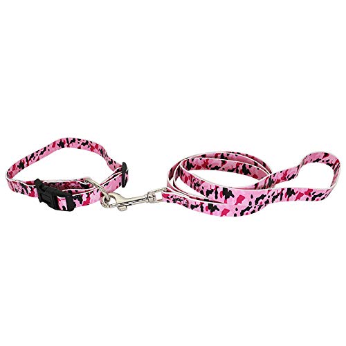 Corde de traction et collier pour chien chiot de petite et moyenne taille Yunlin