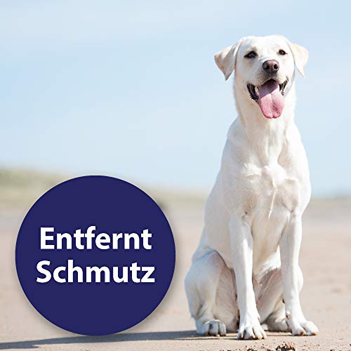 Canosept Wundspray für Hunde 75ml - Antibakterielles Spray zur Reinigung von Wunden & Ohrreiniger für Hunde 125ml - Lösung zur Ohrenpflege & Ohrenreinigung von Hundeohren