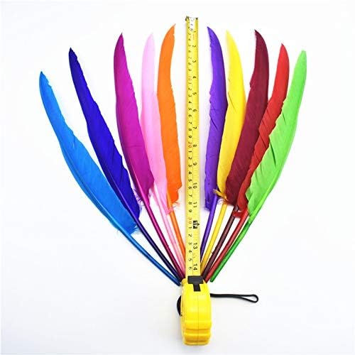 Zamihalaa 200Pcs/Lot Turkey Feathers Duck Pointer Wing Feathers for Crafts (30-35CM 12-14") Pheasant Feathers for Jewelry Making