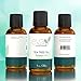 Eva Naturals Pure Tea Tree Oil (1oz) - Antibacterial Melaleuca Essential Oil Fights Acne, Eases Dandruff - Great for Insect Bites, Bruises and DIY Projects - Premium Quality, Sourced from Australia