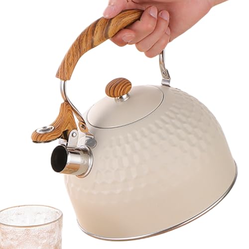 Hervidor de agua de placa - Hervidor de agua silbante para hervir agua,Olla de acero inoxidable de 2,5 L con mango ergonómico Accesorios de cocina para inducción agua hirviendo Hotel Apartamento