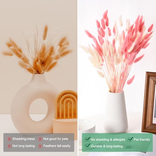 120 unidades de hierba Bunny Tails decorativa seca miniatura 4