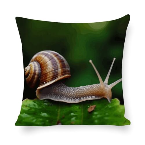 Housse de coussin escargot déhoussable pour un salon impeccable sans couture