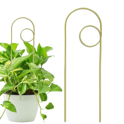 Spizummp 植木鉢用トレリス | つる植物トレリス アーチサポートスタンドケージ ステークスデコレーション パーティー/屋外/温室/結婚式/裏庭用