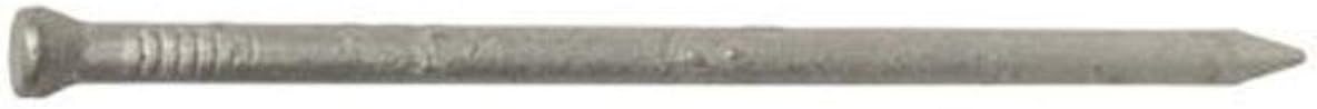 Hillman Fasteners 461301 LB 2" 6D Galvanized Case Nail