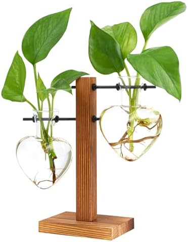 XXXFLOWER Propagation Station Vintage 2 Herzförmige Glaskugeln,Ableger Pflanzen Glas mit Holzständer,Pflanzen Terrarium,Glas Reagenzgläser für Blumen,Hydroponik Blumenvase,Kleine V