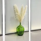 Large Decorative Floor Vase for Centerpieces, 21' Extra Large Vase for Tall Pampas Grass, Oversized Glass Bottle Vase for Water Planting, Big Avocado Clear Vase for Boho Home Decor, Green
