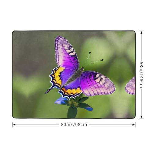 Tapis papillon violet de haute qualité avec des couleurs inaltérables