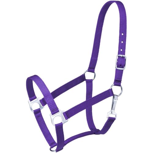 Tough 1 Tough-1 Economy Halter, Purple, Horse