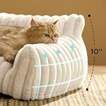 Bedsure ComfyFleece™ Cute Cat Couch for Pets - As Seen on TV on Good Day New York, Fluffy Cats beds for Indoor Cats with Removable Washable Cover, Supportive Pet Sofa, 24inch, Cream - Image 2