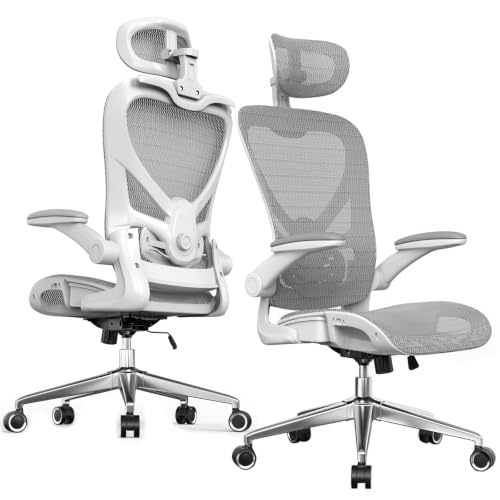 naspaluro Bürostuhl Ergonomisch Rollen Für Homeoffice, 150kg, Grau