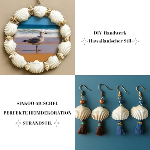 HcvGcm 100 Natürliche Weiße Muscheln Zum Basteln, 2-3 cm Muscheln Deko Für DIY Schmuck, Hochzeit, Party, Aquarium Und Heimdekoration, Muscheln Zum Bemalen